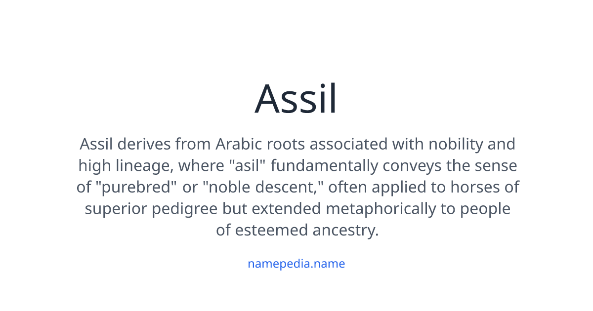 Assil Meaning, Origin, Nicknames & Popularity | Namepedia