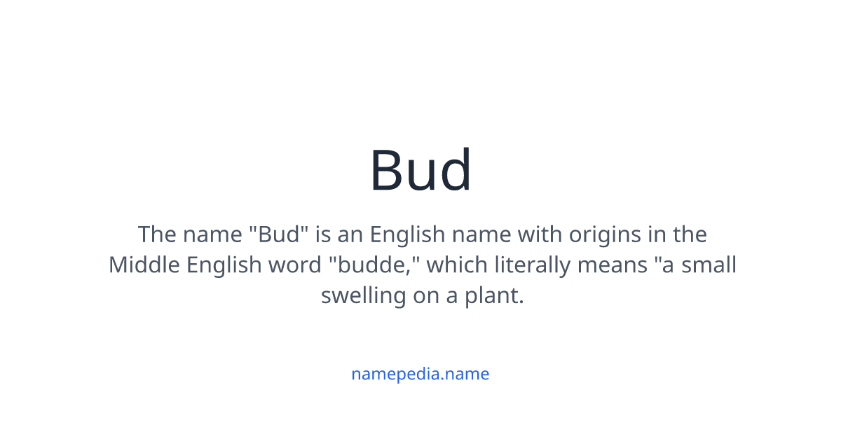 WHAT IS BUD MEANING visual data 7